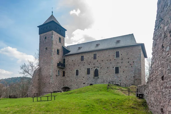 Ruiny Litice Nad Orlici Czechy Wschodnie Czechy — Zdjęcie stockowe