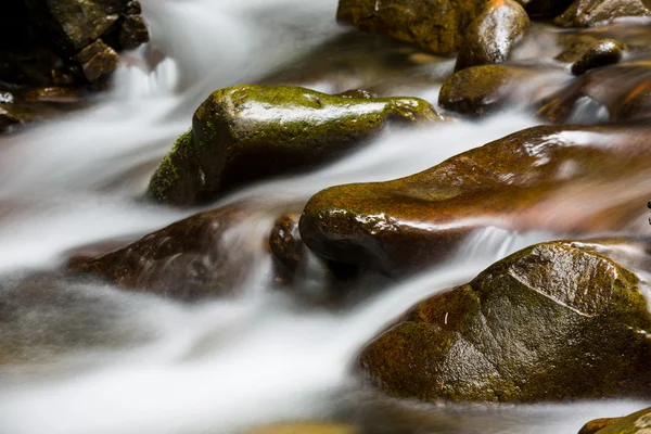 Pequeño arroyo de montaña —  Fotos de Stock