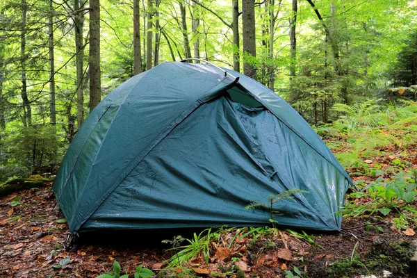 Tourist tent in morning forest — Stock Photo, Image