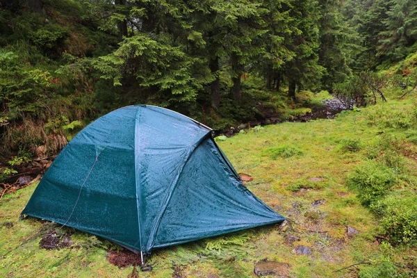 雨の森で観光テント — ストック写真