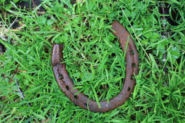 Velha ferradura enferrujada na grama — Fotografia de Stock