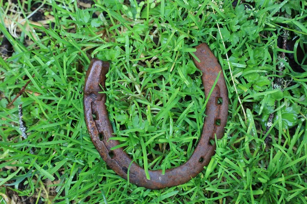 Horseshoe on green grass — Stock Photo, Image