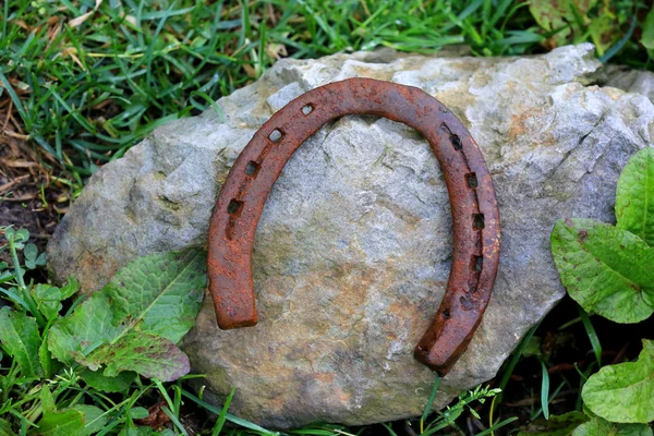 Horseshoe op steen in gras — Stockfoto