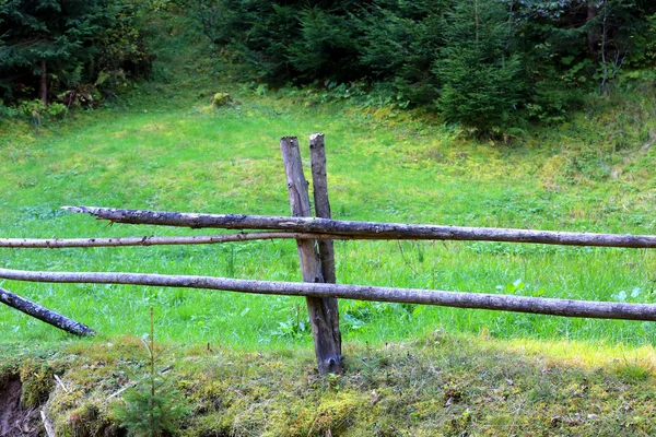 Dřevěný plot na zelené louce — Stock fotografie