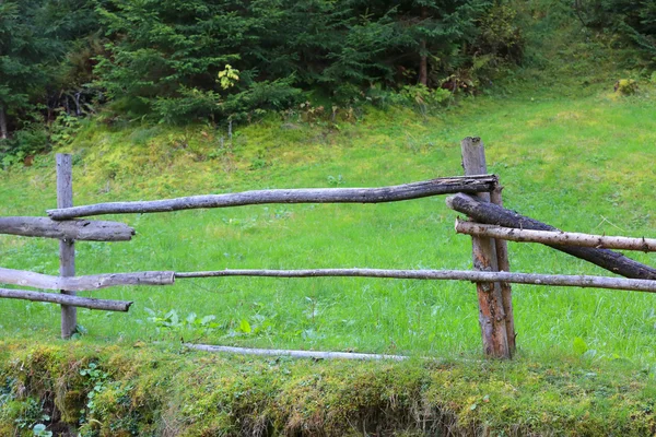 Dřevěný plot na louce — Stock fotografie