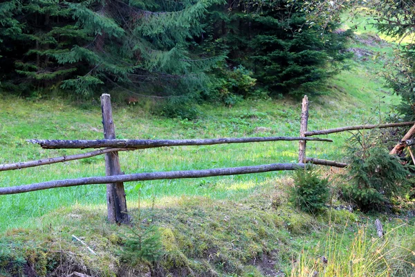 Recinzione in legno sul prato — Foto Stock