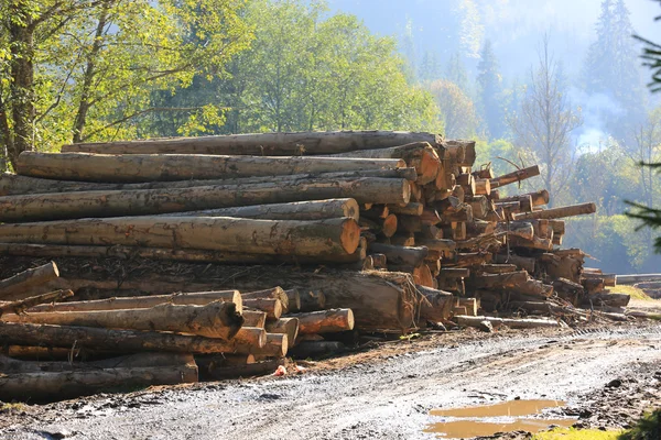 Negozio di tronchi di legno — Foto Stock