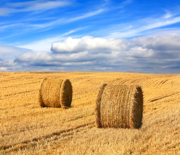 Hay rolls on farming field under nice clouds in sky — Stock Photo, Image