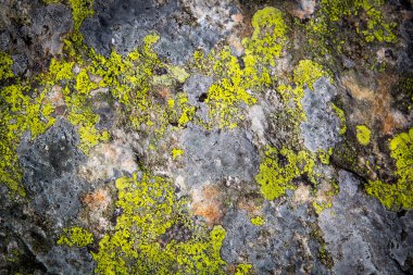 taş eski sarı boya