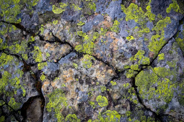 Antiga superfície de pedra — Fotografia de Stock