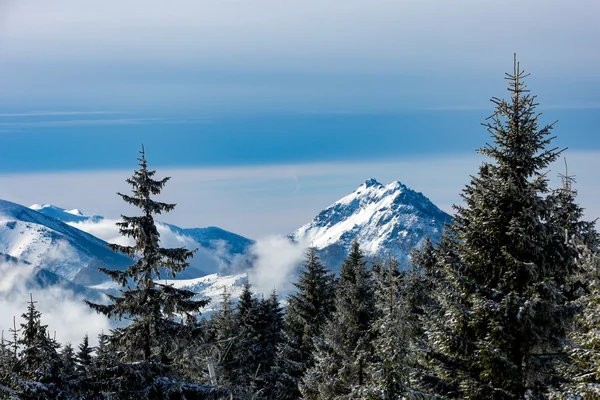 Paisaje invernal en Eslovaquia — Foto de Stock