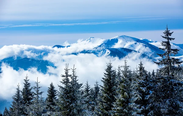 Winter landscape in Slovakia — Stock Photo, Image