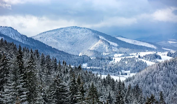在斯洛伐克的冬天山景 — 图库照片
