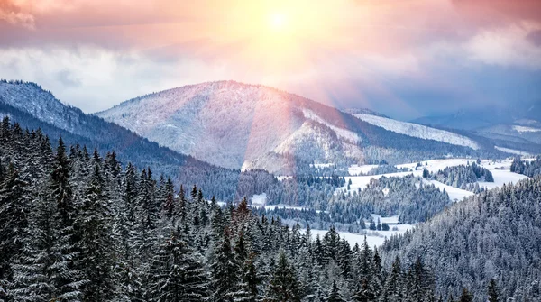 Cena de inverno nas montanhas — Fotografia de Stock