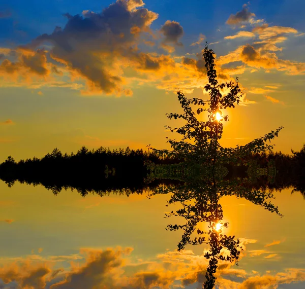 Sunset over lake — Stock Photo, Image