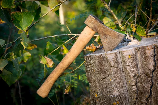 IJzeren bijl op boomstronk — Stockfoto