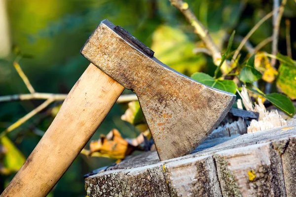 Ron axe on tree stump in forest — Stock Photo, Image