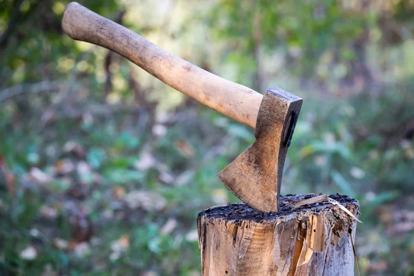 Axe in wooden stump — Stock Photo, Image