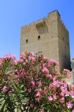 Kale Tower yakınındaki güzel çiçekler