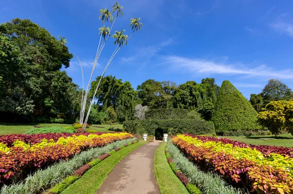 Gränd i Kungliga botaniska trädgården, — Stockfoto