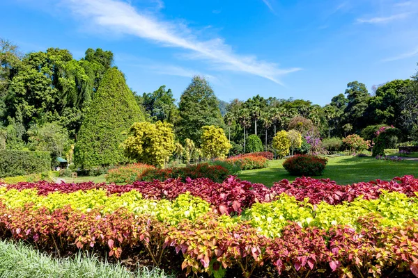 Nice day in Royal Botanical Garden — Stock Photo, Image