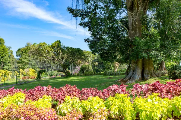 Bella scena nel Royal Botanical Garden — Foto Stock