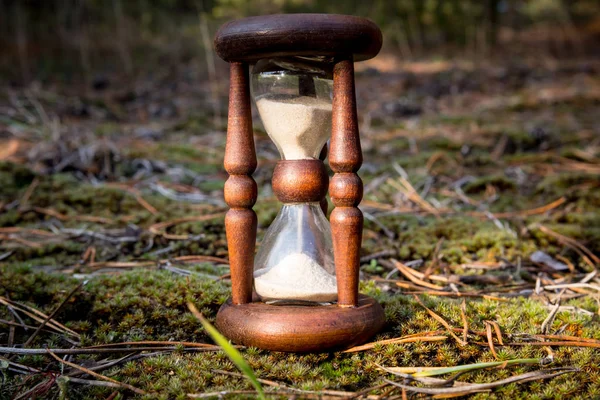 Sanduhr im Wald — Stockfoto