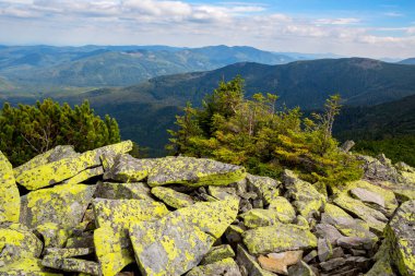 eski taş Karpatlar, Ukrayna