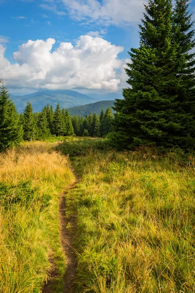 Pathway in mountains — Stock Photo, Image