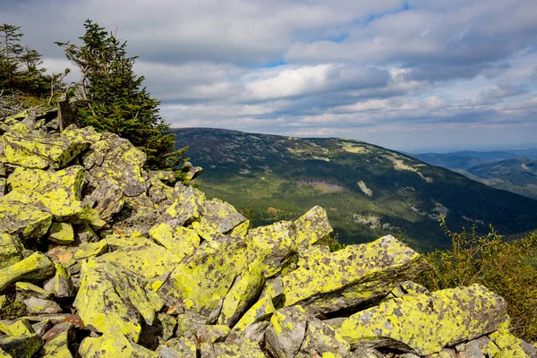 山の斜面、カルパティア山脈の石 — ストック写真