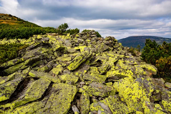 Жовтий камені в Карпатах — стокове фото