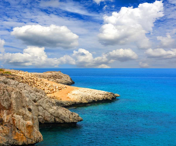 Kayalık deniz kıyısında — Stok fotoğraf