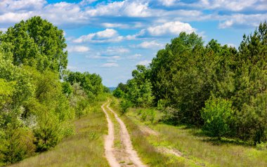 ummer manzara orman rut yol ile