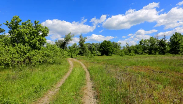 Lantlig väg i stäppen bland gröna gräs — Stockfoto