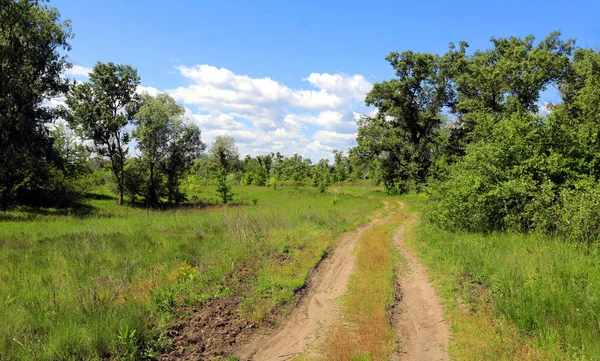 Chemin de terre dans la steppe par temps ensoleillé — Photo