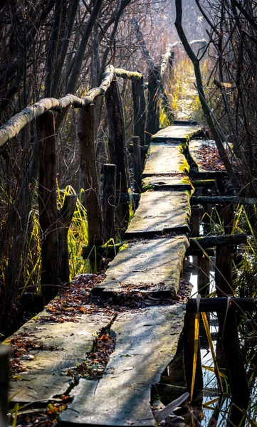 Vieux pont en bois — Photo