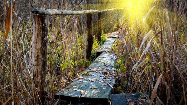 Vieux pont en bois — Photo