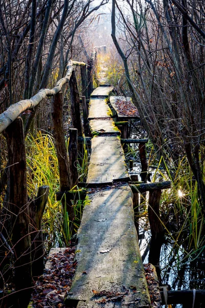 Vieux pont en bois dans la forêt — Photo