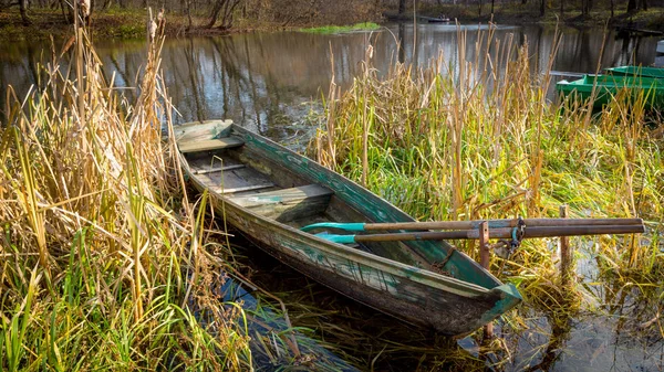 Wooden boat in reeds on river — Stock Photo, Image