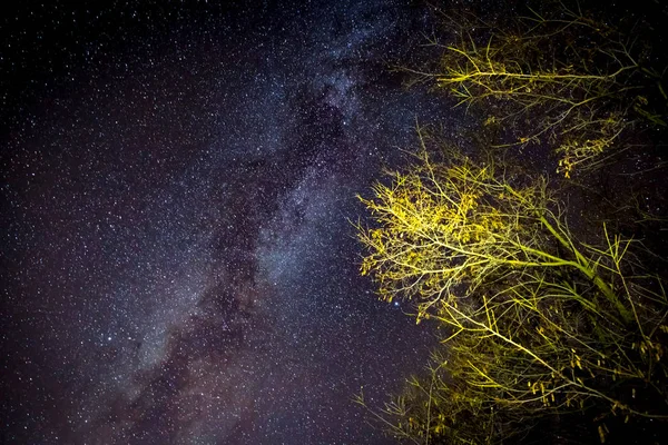 近くの空に天の川銀河 — ストック写真
