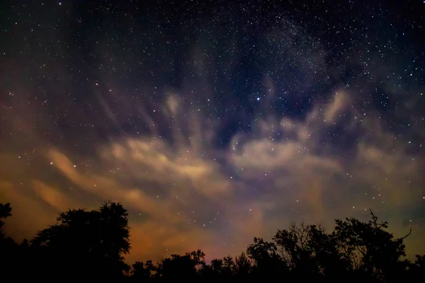 Cielo nocturno sobre bosque —  Fotos de Stock