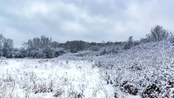 Paisaje frío invierno — Foto de Stock