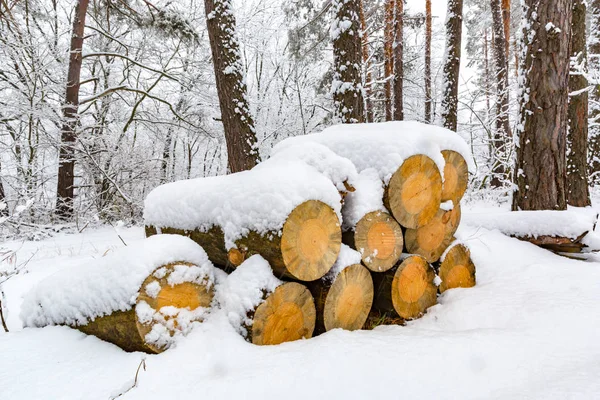 Houten logboeken opslaan in winter forest — Stockfoto