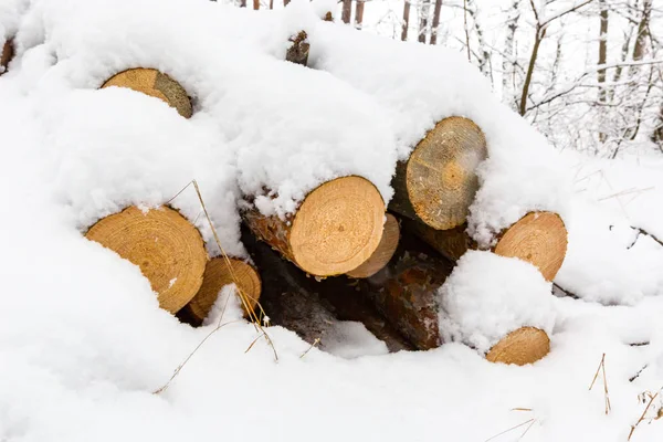 Bûches de bois en laine recouvertes de neige — Photo