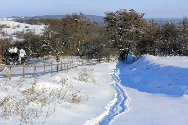 Pathway on meadow in winter time — Stock Photo, Image