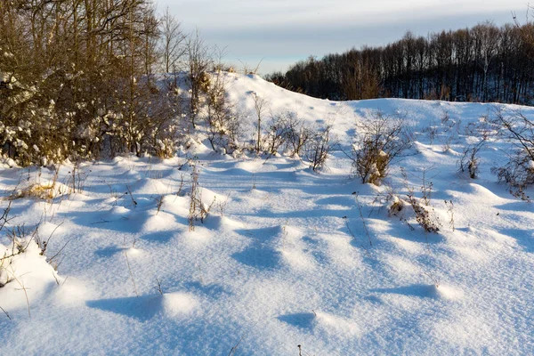 Snow on winter meadow — Stock Photo, Image