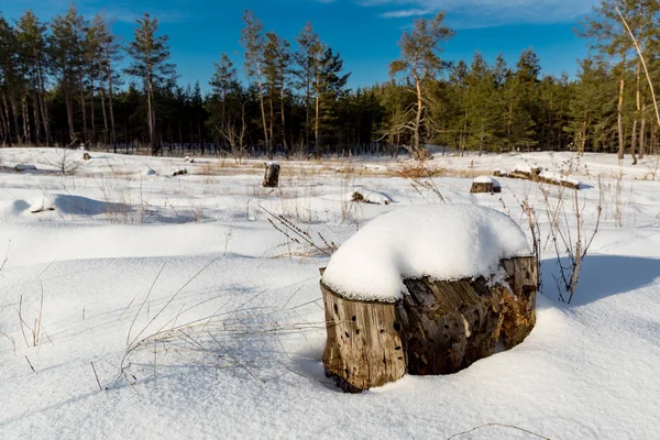 Houten stub onder de sneeuw — Stockfoto