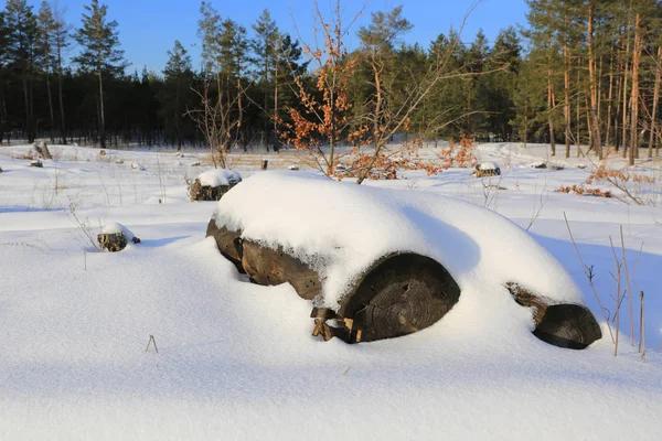 Woden log under snow on meadow — Stock Photo, Image