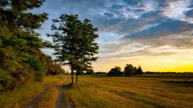 rut yol çayır sınırı yakınında