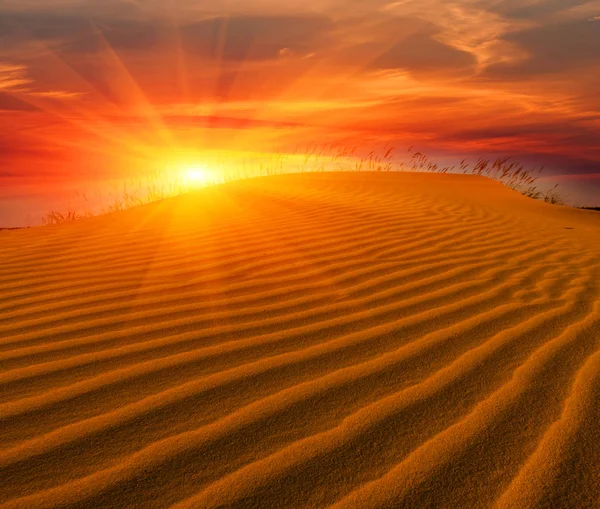 Sunsert 在沙漠中 — 图库照片